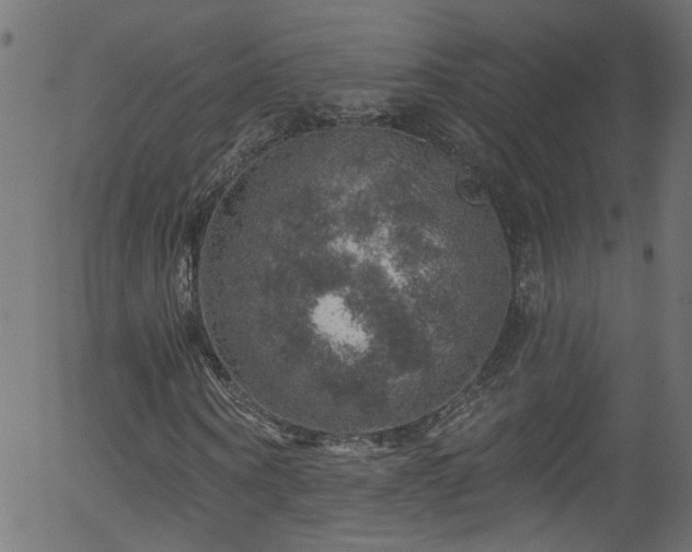 X0000056330866200508291249