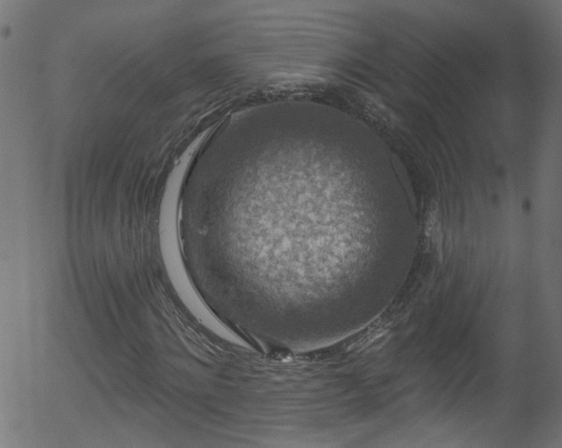 X0000056330868200508291249