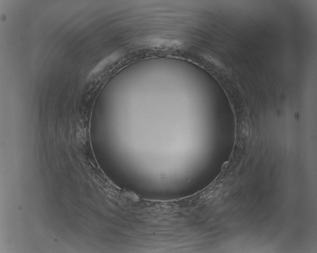 X0000056330869200508291249