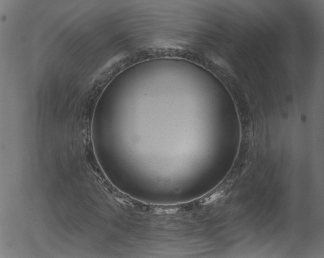 X0000056330870200508291249