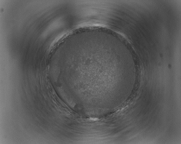 X0000056330871200508291249