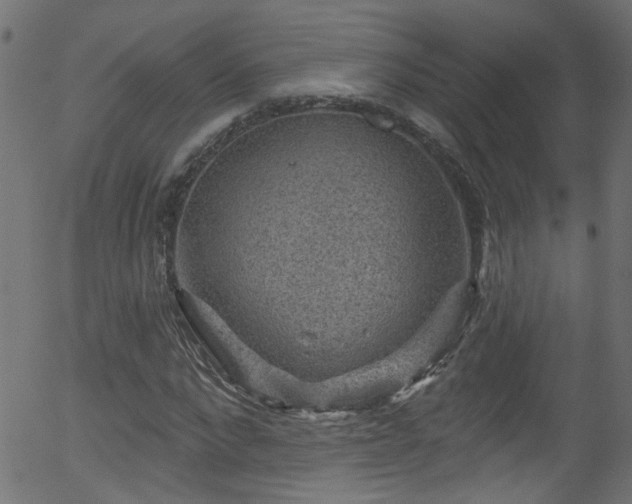 X0000056330872200508291249