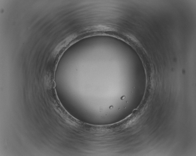 X0000056330873200508291249