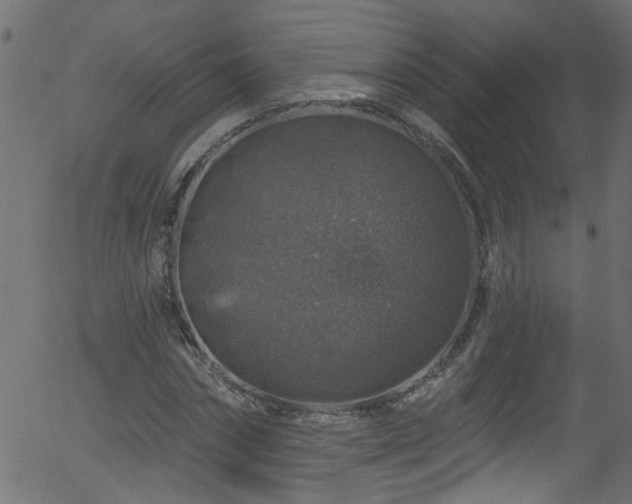 X0000056330874200508291249