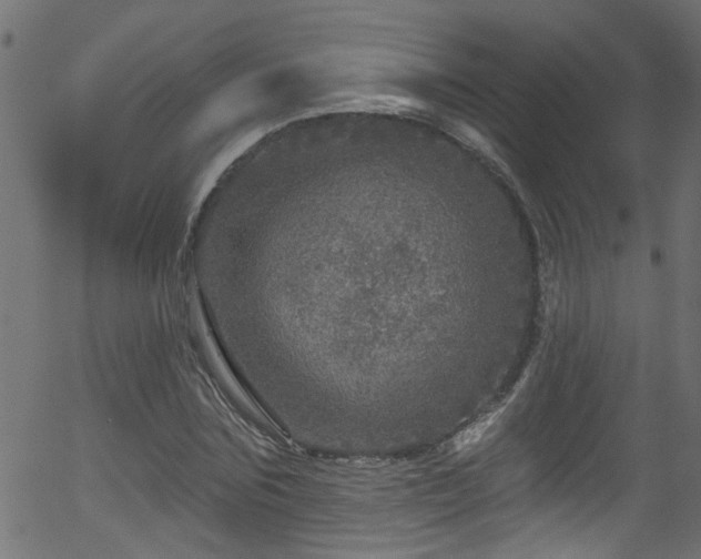 X0000056330875200508291249