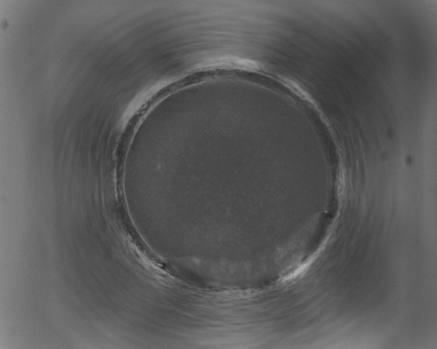 X0000056330877200508291249