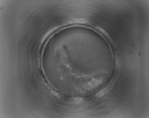 X0000056330878200508291249