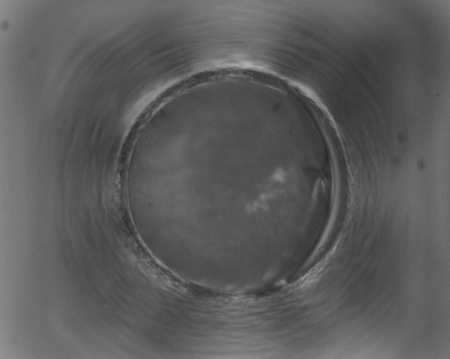 X0000056330879200508291249