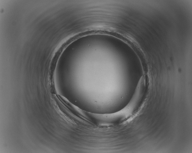 X0000056330880200508291249