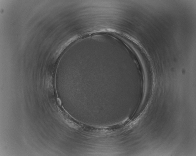 X0000056330881200508291249