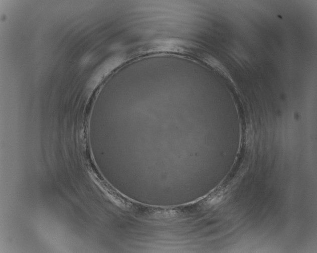 X0000056330882200508291249