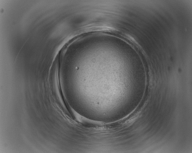 X0000056330883200508291249