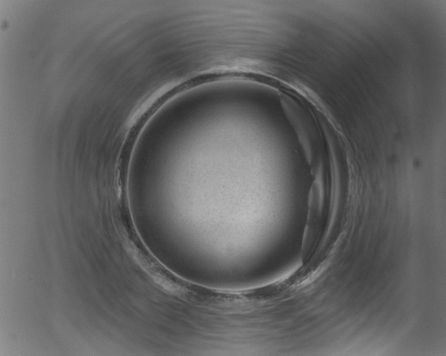 X0000056330885200508291249