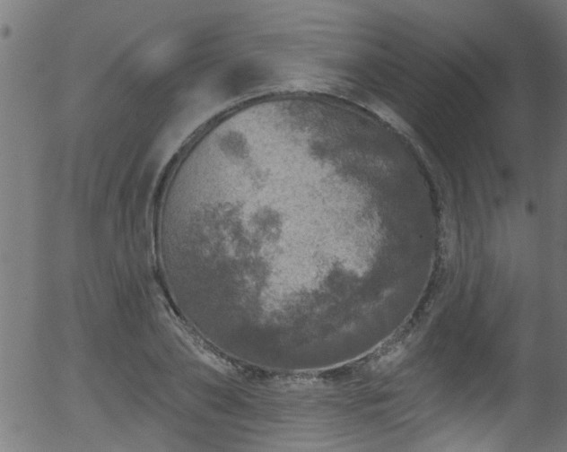 X0000056330886200508291249