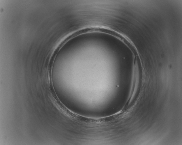 X0000056330887200508291249