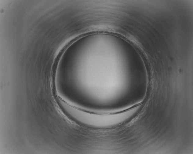 X0000056330888200508291249