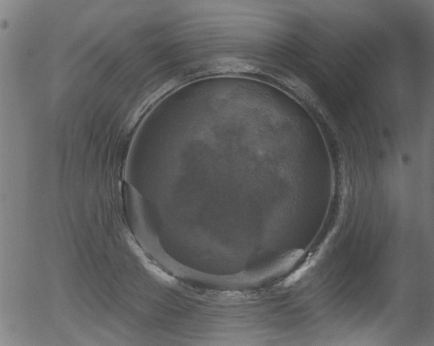 X0000056330889200508291249