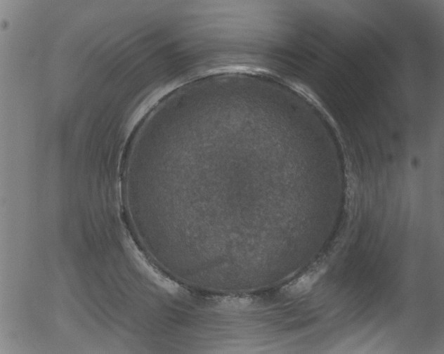 X0000056330890200508291249