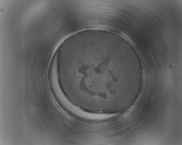 X0000056330891200508291249