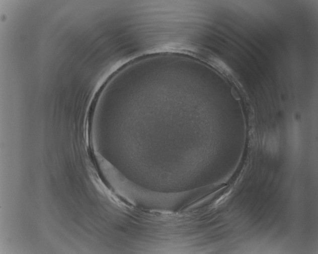 X0000056330892200508291249