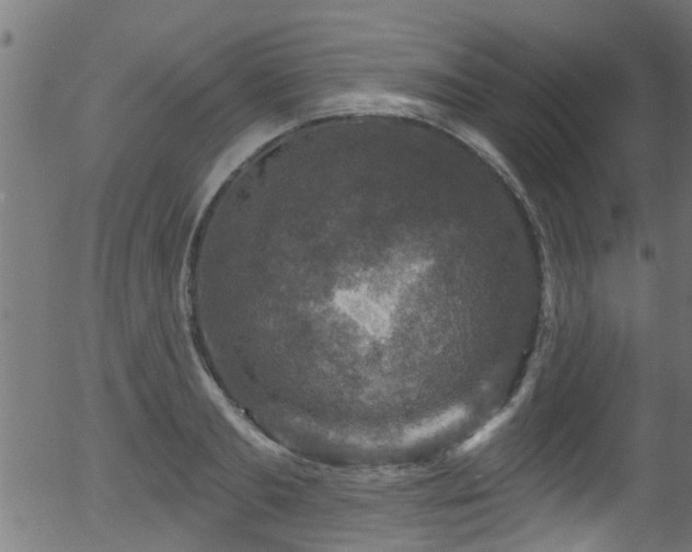 X0000056330893200508291249