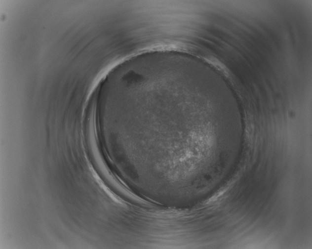 X0000056330894200508291249