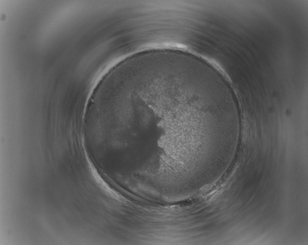 X0000056330895200508291249