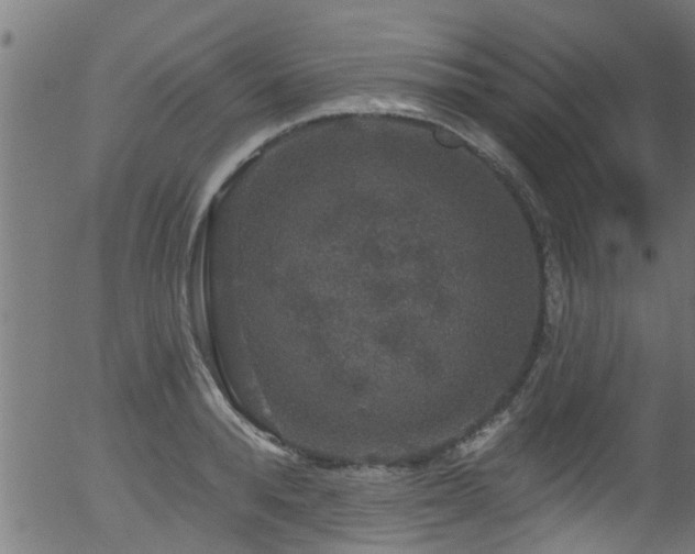 X0000056330896200508291249