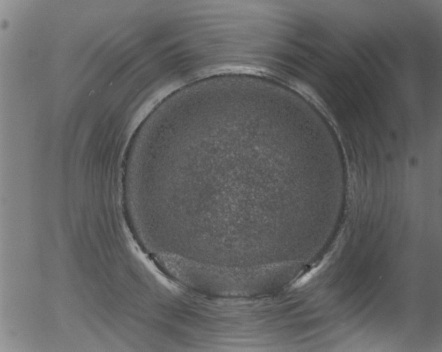 X0000056330898200508291249