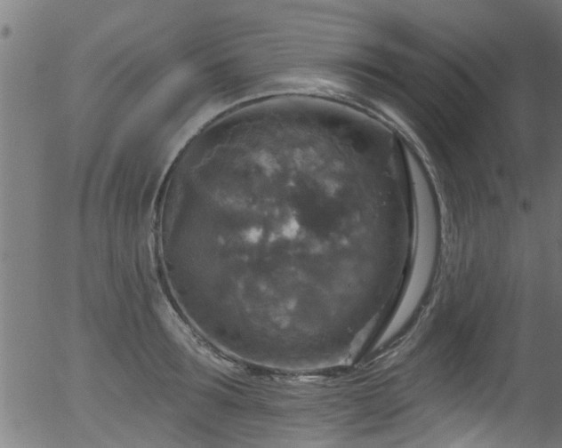 X0000056330899200508291249