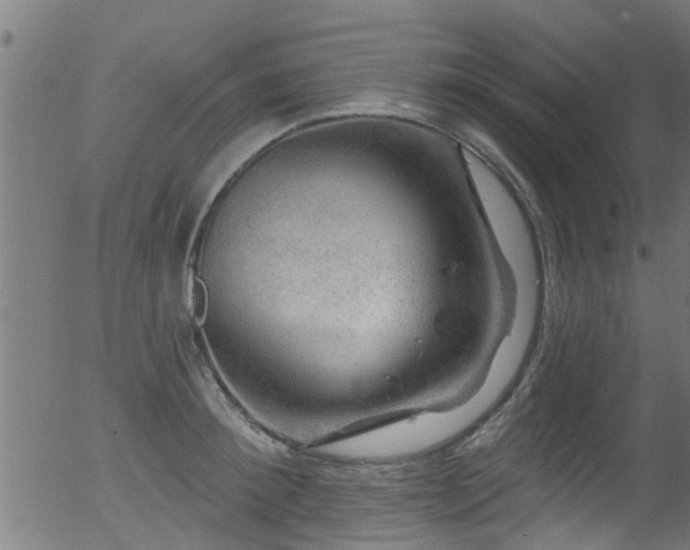 X0000056330900200508291249