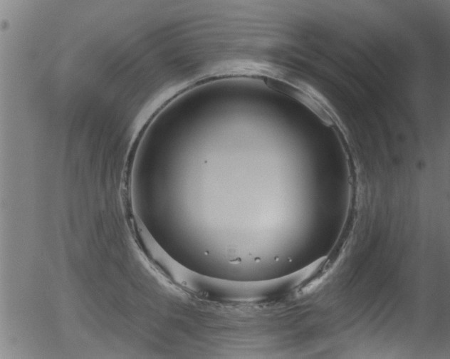 X0000056330901200508291249