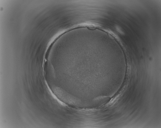 X0000056330902200508291249