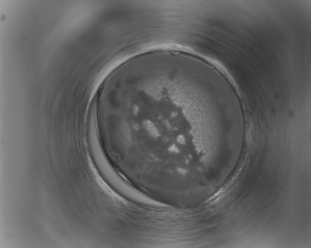 X0000056330903200508291249