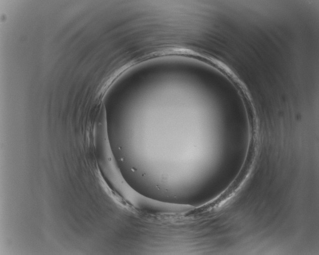 X0000056330905200508291249