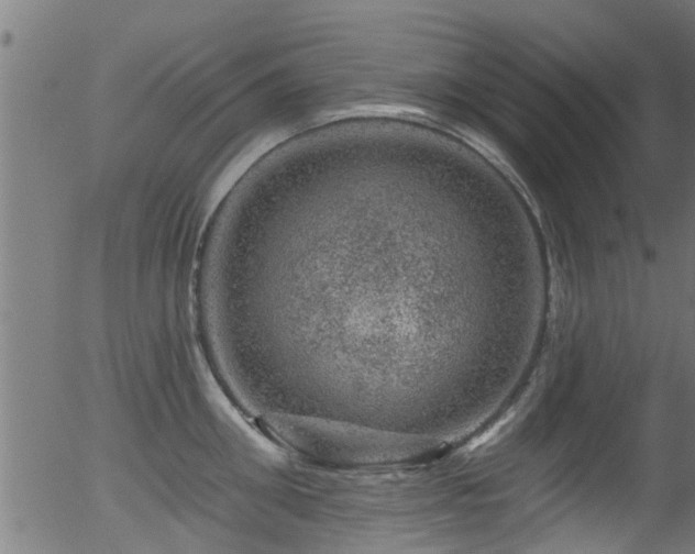 X0000056330906200508291249