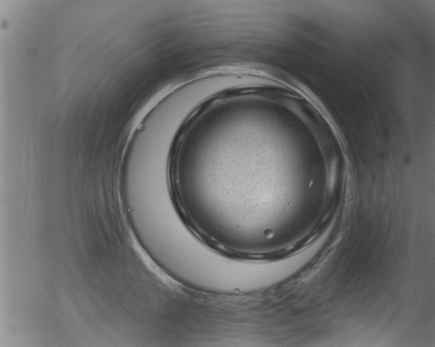 X0000056330909200508291249