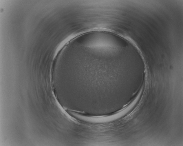 X0000056330910200508291249