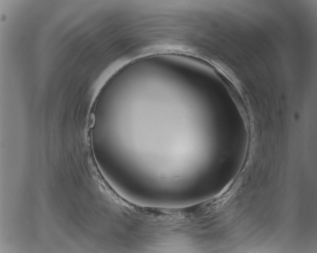 X0000056330912200508291249