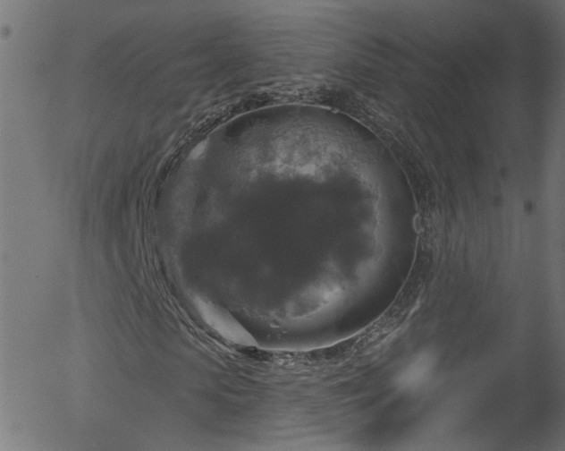 X0000056330913200508291248