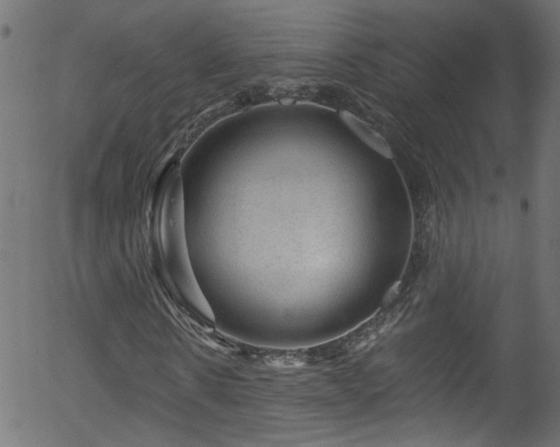 X0000056330914200508291248