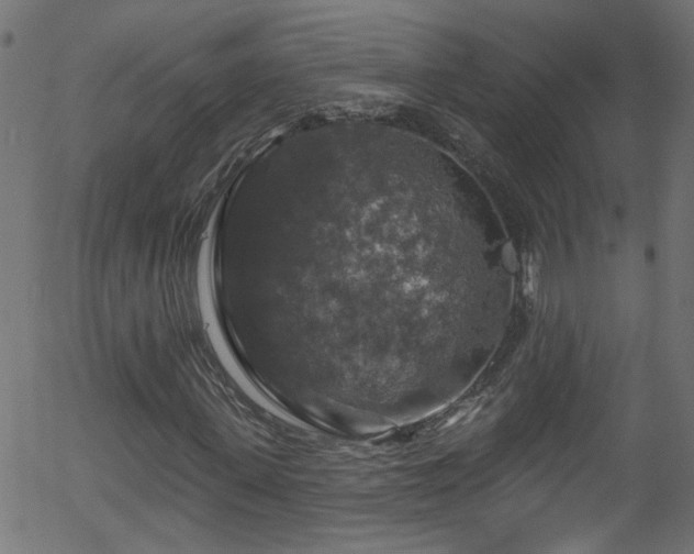 X0000056330915200508291248