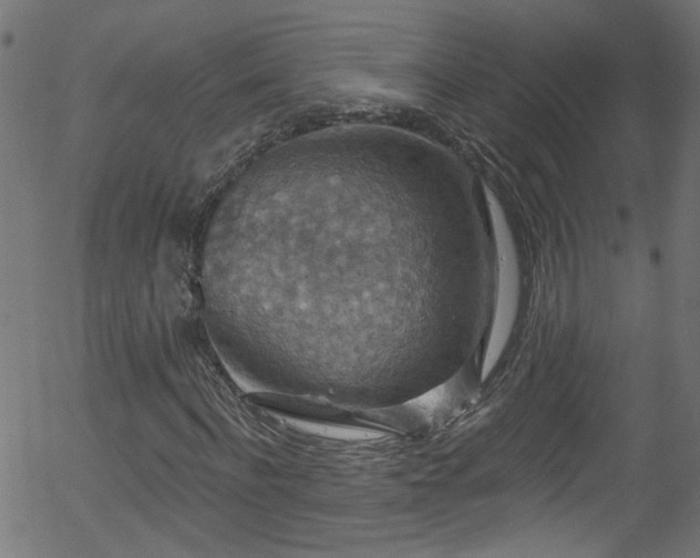 X0000056330916200508291248