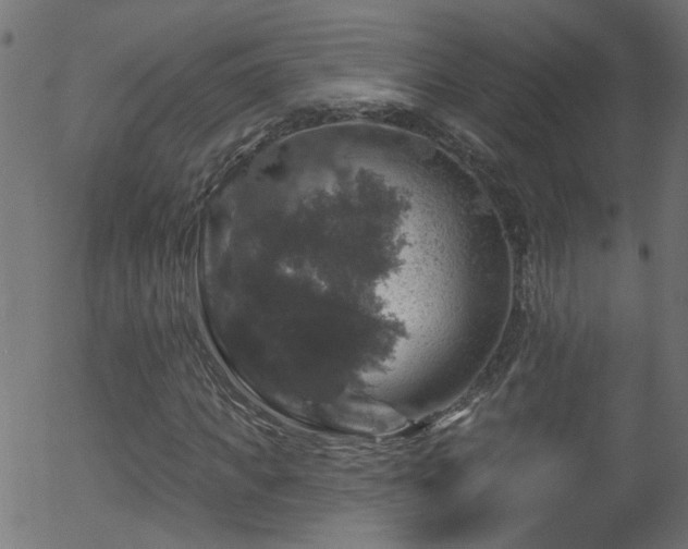 X0000056330917200508291248