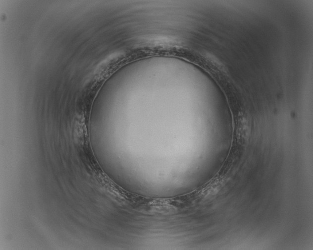 X0000056330918200508291248