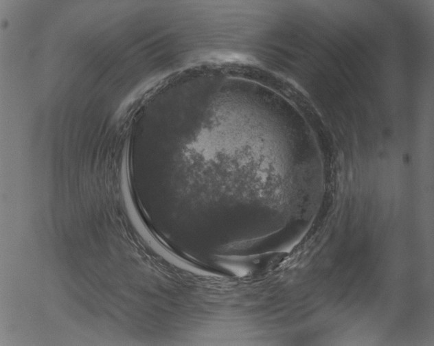 X0000056330919200508291248