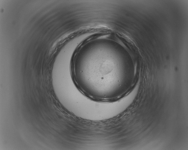 X0000056330920200508291248