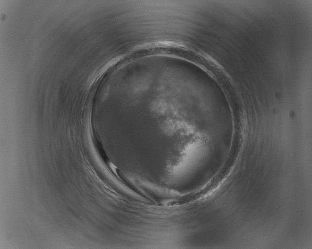 X0000056330921200508291248