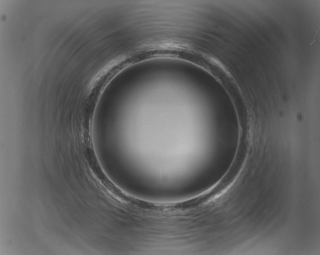 X0000056330922200508291248