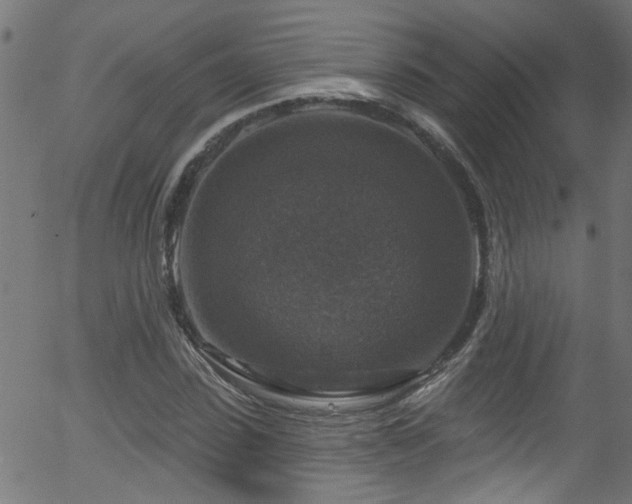 X0000056330923200508291248